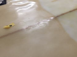 �|���G�X�e�� �f�b�L �T�C���� 13_3